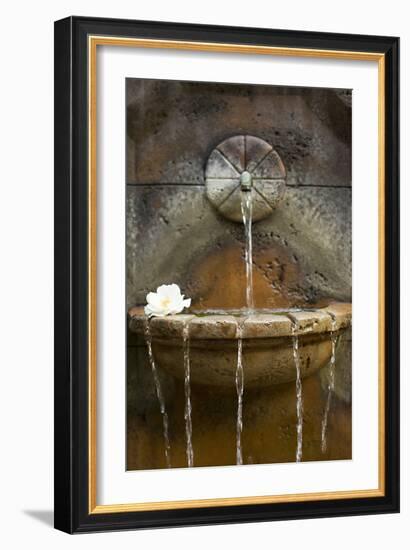 Fountain I-Karyn Millet-Framed Photographic Print