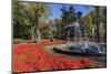 Fountain in City Garden, Odessa, Crimea, Ukraine, Europe-Richard Cummins-Mounted Photographic Print