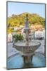Fountain in Sintra, Near Lisbon, Portugal-Peter Adams-Mounted Photographic Print