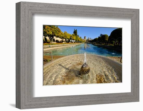 Fountain in the Alcazar De Los Reyes Cristianos, Cordoba, Andalucia, Spain-Carlo Morucchio-Framed Photographic Print