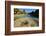 Fountain in the Alcazar De Los Reyes Cristianos, Cordoba, Andalucia, Spain-Carlo Morucchio-Framed Photographic Print