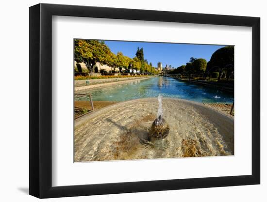 Fountain in the Alcazar De Los Reyes Cristianos, Cordoba, Andalucia, Spain-Carlo Morucchio-Framed Photographic Print