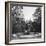 Fountain, Munich, Germany, C1900-Wurthle & Sons-Framed Photographic Print