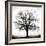 Fountain Oak-Jamie Cook-Framed Giclee Print