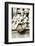 Fountain of Neptune, Piazza Navona, Rome, Latium, Italy, Europe-Nico Tondini-Framed Photographic Print