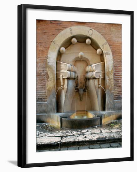 Fountain of the Books-null-Framed Photographic Print