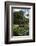 Fountain of the Muses, Rio De Janeiro Botanical Gardens, Rio De Janeiro, Brazil, South America-Gabrielle and Michael Therin-Weise-Framed Photographic Print