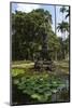 Fountain of the Muses, Rio De Janeiro Botanical Gardens, Rio De Janeiro, Brazil, South America-Gabrielle and Michael Therin-Weise-Mounted Photographic Print