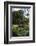 Fountain of the Muses, Rio De Janeiro Botanical Gardens, Rio De Janeiro, Brazil, South America-Gabrielle and Michael Therin-Weise-Framed Photographic Print