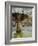 Fountain, Place d'Albertas, Aix En Provence, Provence, France, Europe-John Miller-Framed Photographic Print