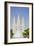 Fountain with Salt Lake Temple, Temple Square, Salt Lake City, Utah-Michael DeFreitas-Framed Photographic Print