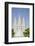 Fountain with Salt Lake Temple, Temple Square, Salt Lake City, Utah-Michael DeFreitas-Framed Photographic Print