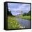 Fountains Abbey, North Yorkshire, England, UK, Europe-Roy Rainford-Framed Premier Image Canvas