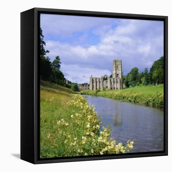 Fountains Abbey, North Yorkshire, England, UK, Europe-Roy Rainford-Framed Premier Image Canvas