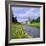 Fountains Abbey, North Yorkshire, England, UK, Europe-Roy Rainford-Framed Photographic Print