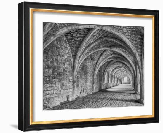 Fountains Abbey Yorkshire England-John Ford-Framed Photographic Print