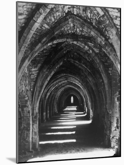 Fountains Abbey-null-Mounted Photographic Print