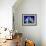 Fountains and 13th Century Egyptian Obelisk in the Place de La Concorde, Paris-Alfred Eisenstaedt-Framed Photographic Print displayed on a wall