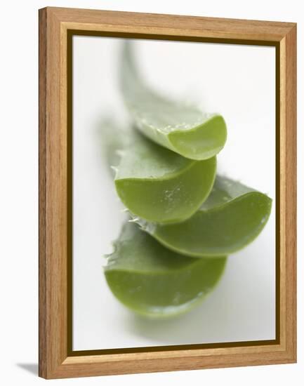 Four Aloe Vera Leaves, in a Pile-null-Framed Premier Image Canvas