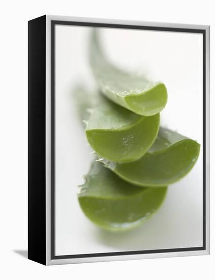 Four Aloe Vera Leaves, in a Pile-null-Framed Premier Image Canvas
