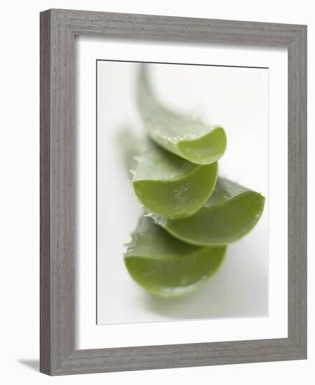 Four Aloe Vera Leaves, in a Pile-null-Framed Photographic Print