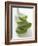 Four Aloe Vera Leaves, in a Pile-null-Framed Photographic Print