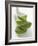 Four Aloe Vera Leaves, in a Pile-null-Framed Photographic Print