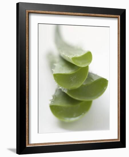 Four Aloe Vera Leaves, in a Pile-null-Framed Photographic Print