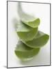 Four Aloe Vera Leaves, in a Pile-null-Mounted Photographic Print