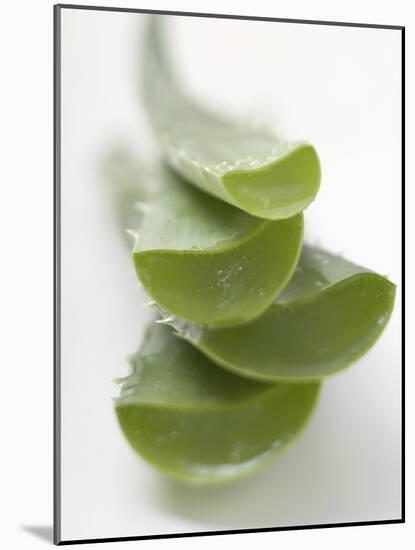 Four Aloe Vera Leaves, in a Pile-null-Mounted Photographic Print