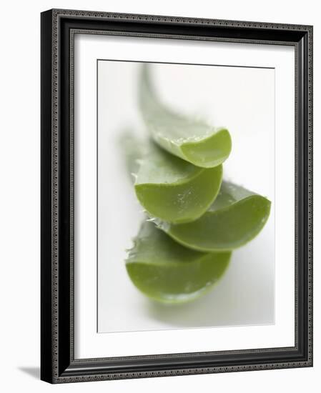 Four Aloe Vera Leaves, in a Pile-null-Framed Photographic Print