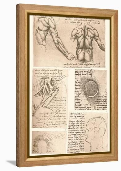Four anatomical drawings, c1472-c1519 (1883)-Leonardo Da Vinci-Framed Premier Image Canvas
