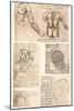 Four anatomical drawings, c1472-c1519 (1883)-Leonardo Da Vinci-Mounted Giclee Print