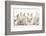 Four Baby Lionhead Cross Lop Bunnies in a Row-Mark Taylor-Framed Photographic Print