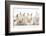 Four Baby Lionhead Cross Lop Bunnies in a Row-Mark Taylor-Framed Photographic Print