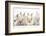 Four Baby Lionhead Cross Lop Bunnies in a Row-Mark Taylor-Framed Photographic Print