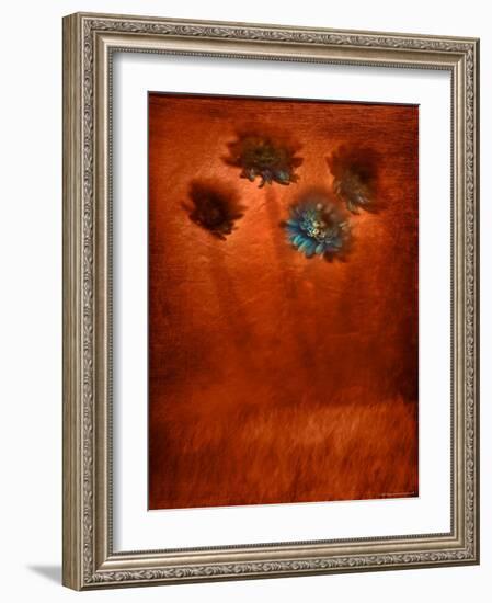 Four Blue Flowers in Copper Grass-Robert Cattan-Framed Photographic Print