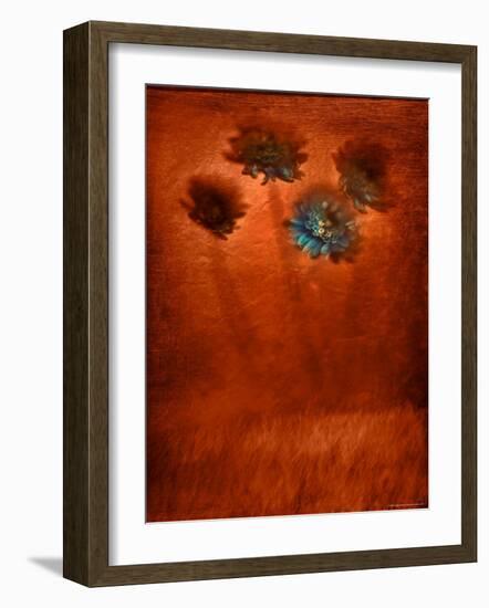 Four Blue Flowers in Copper Grass-Robert Cattan-Framed Photographic Print