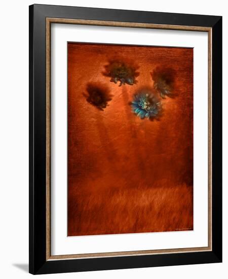 Four Blue Flowers in Copper Grass-Robert Cattan-Framed Photographic Print