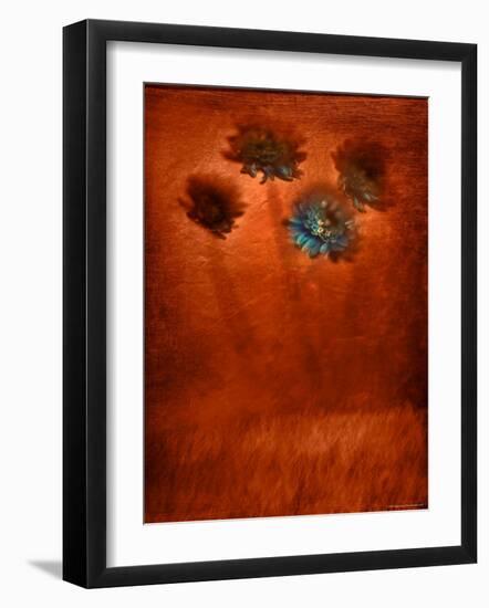 Four Blue Flowers in Copper Grass-Robert Cattan-Framed Photographic Print