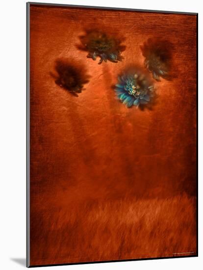 Four Blue Flowers in Copper Grass-Robert Cattan-Mounted Photographic Print