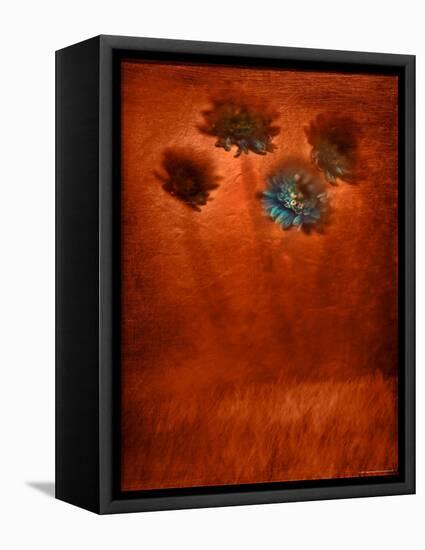 Four Blue Flowers in Copper Grass-Robert Cattan-Framed Premier Image Canvas