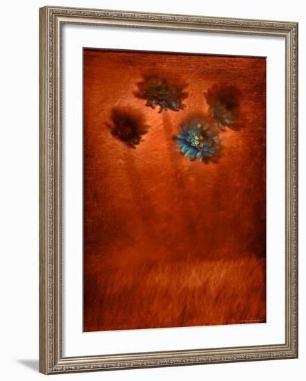 Four Blue Flowers in Copper Grass-Robert Cattan-Framed Photographic Print