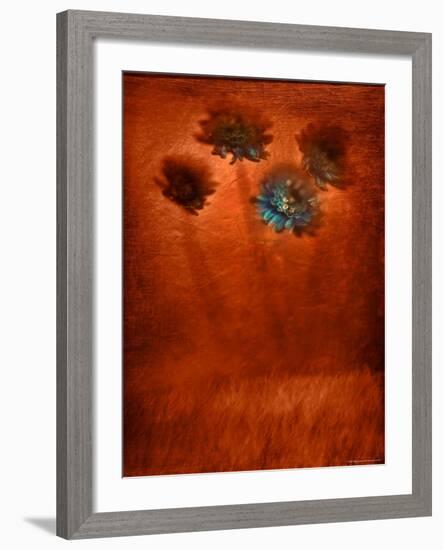 Four Blue Flowers in Copper Grass-Robert Cattan-Framed Photographic Print