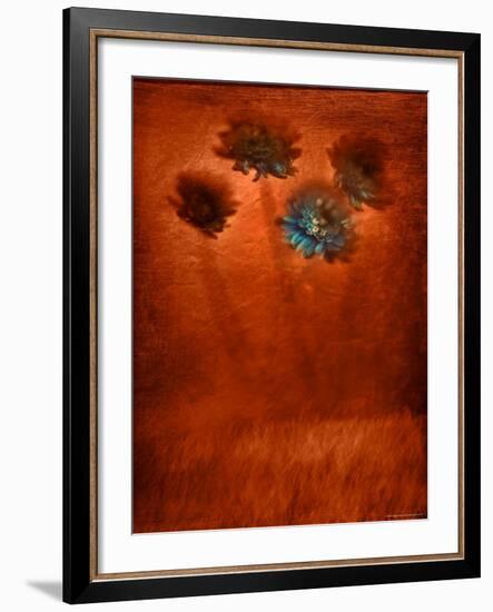 Four Blue Flowers in Copper Grass-Robert Cattan-Framed Photographic Print