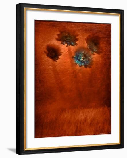 Four Blue Flowers in Copper Grass-Robert Cattan-Framed Photographic Print