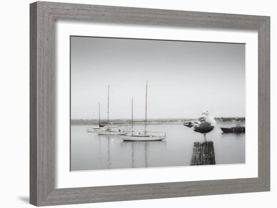 Four Boats & Seagull-Moises Levy-Framed Photographic Print