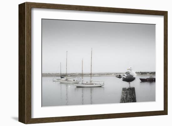 Four Boats & Seagull-Moises Levy-Framed Photographic Print