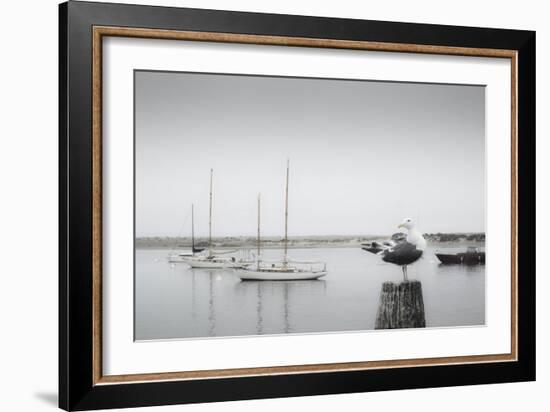 Four Boats & Seagull-Moises Levy-Framed Photographic Print