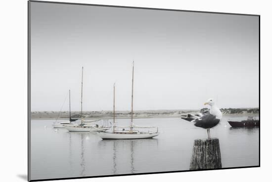 Four Boats & Seagull-Moises Levy-Mounted Photographic Print